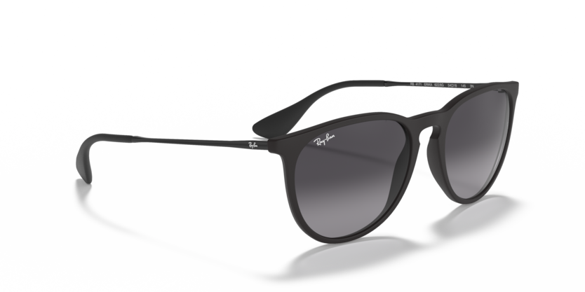Ray-Ban RB4171 Erika Sunglasses