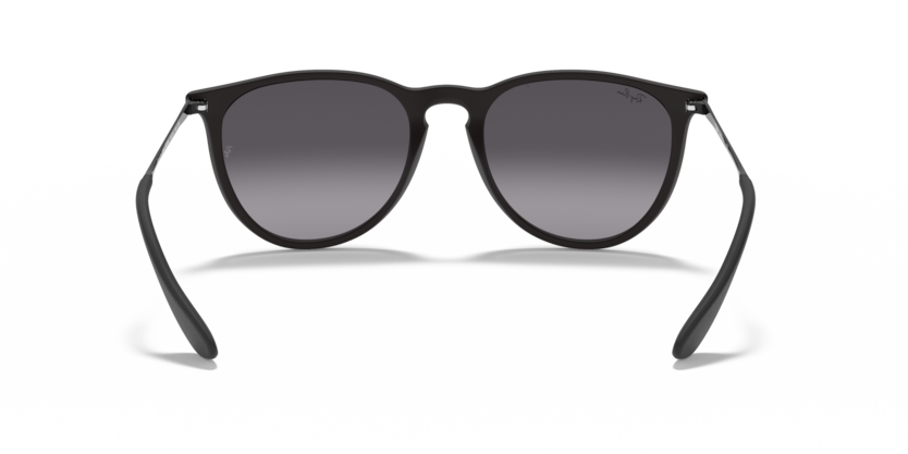 Ray-Ban RB4171 Erika Sunglasses