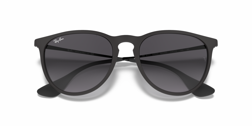 Ray-Ban RB4171 Erika Sunglasses