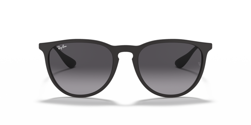 Ray-Ban RB4171 Erika Sunglasses