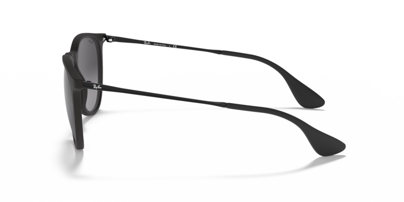 Ray-Ban RB4171 Erika Sunglasses