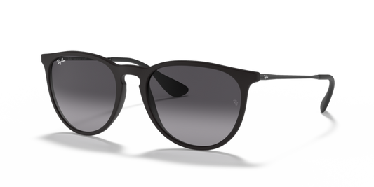 Ray-Ban RB4171 Erika Sunglasses